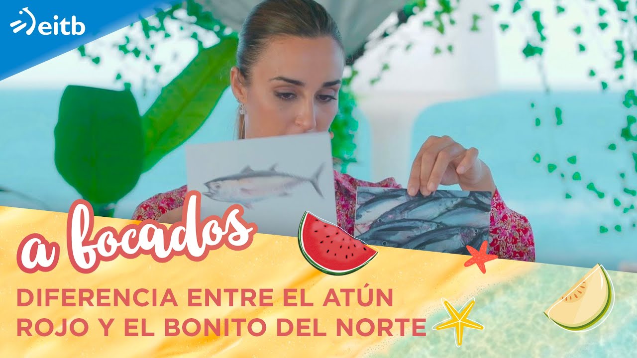Diferencias entre el atún y el bonito