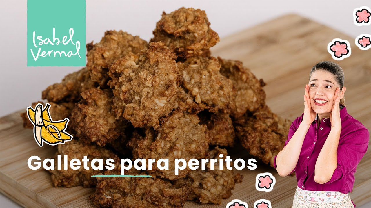 La carta de la galleta al perro