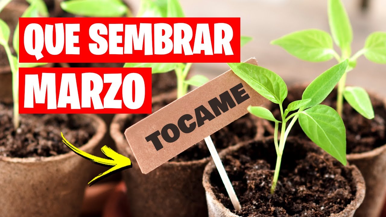 Qué cultivos se pueden plantar en marzo en Galicia