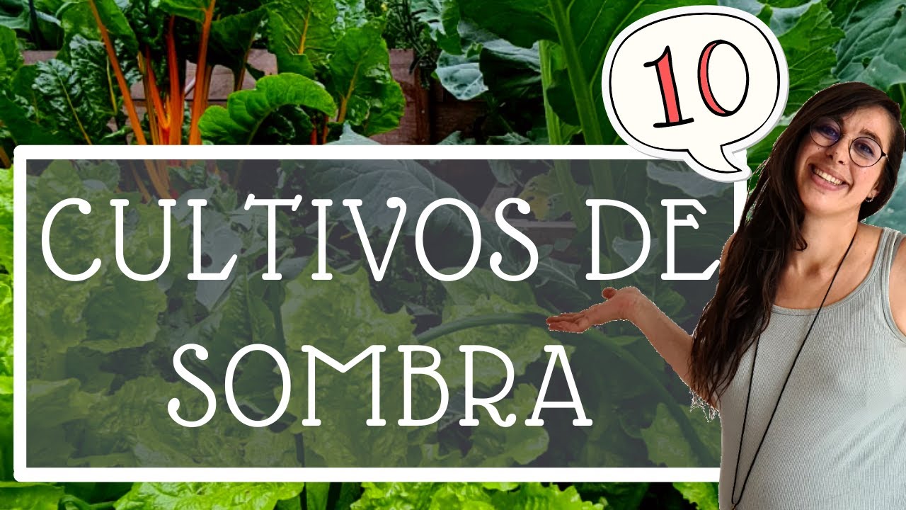 Una huerta con plantas comestibles