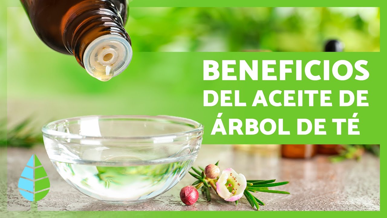 Aceite de árbol de té para limpiar tu hogar