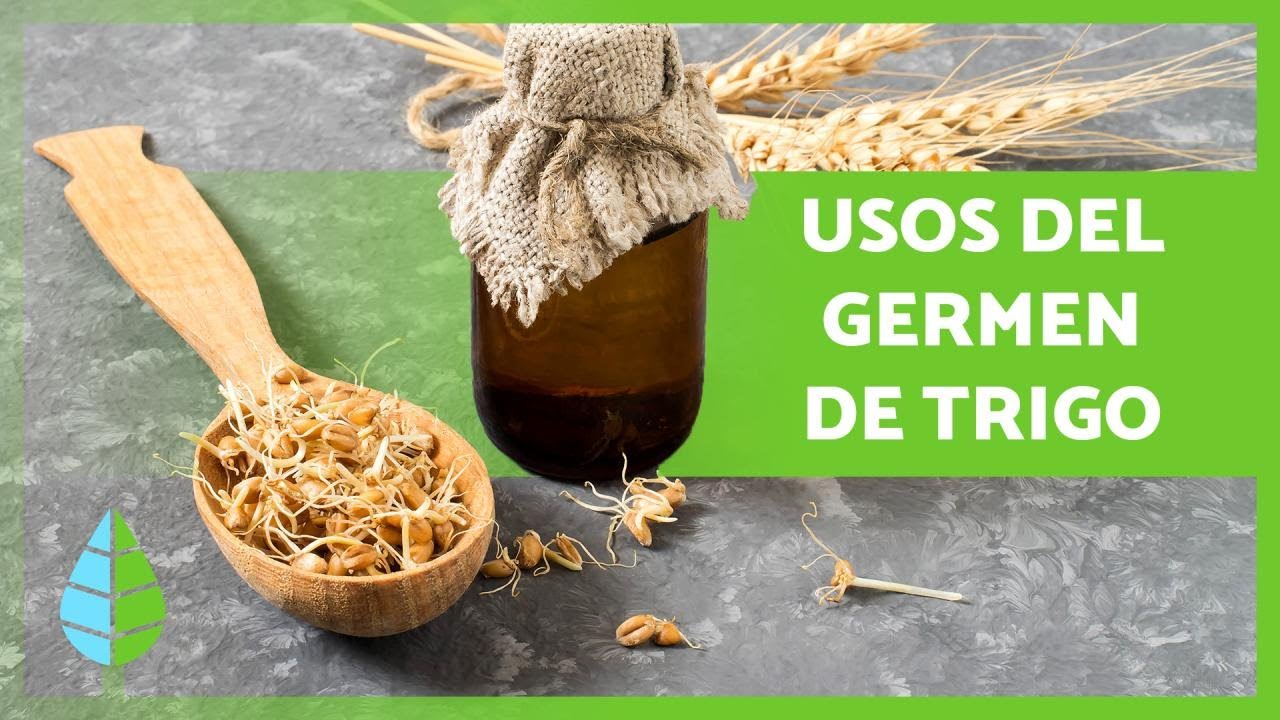 Beneficios de la levadura de cerveza y el germen de trigo para la salud natural