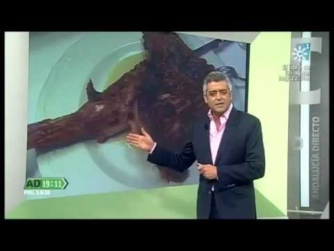 Disfrutando de una deliciosa comida en Canillas de Aceituno: ¿Has probado el chivo?