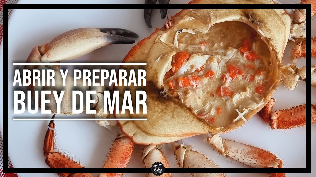 Ideas de recetas con buey de mar congelado