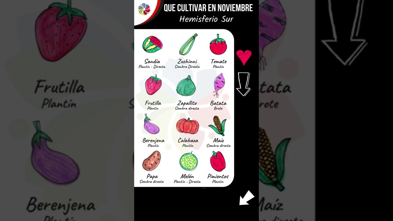 Plantar en Galicia en noviembre: consejos útiles