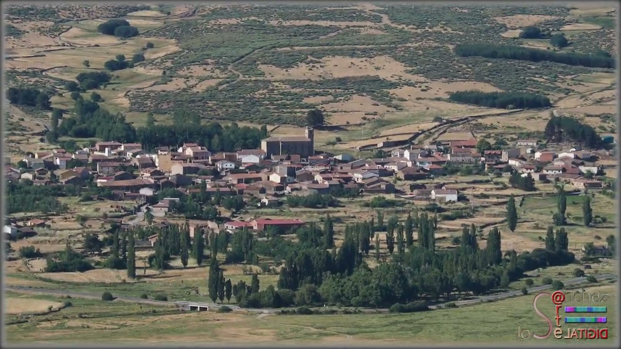 Zatara en San Martín de la Vega