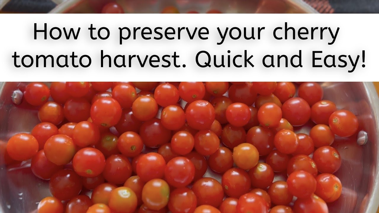 ¿Es posible congelar tomates cherry?