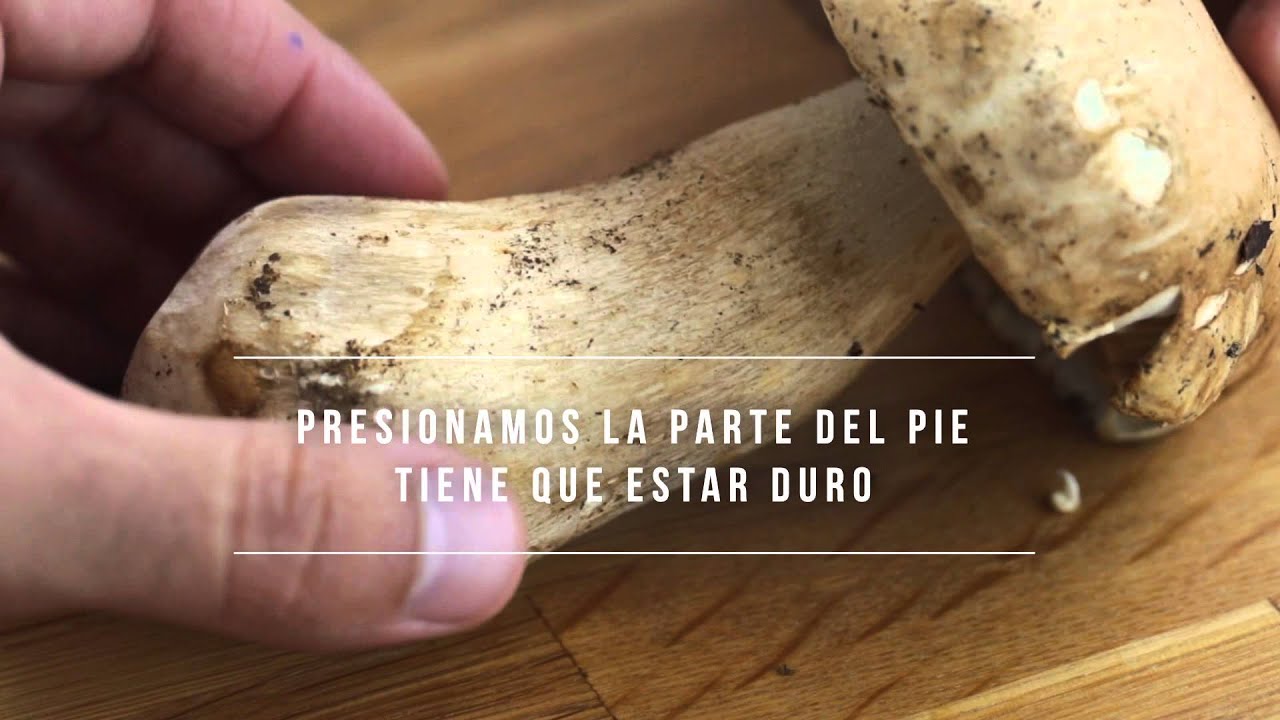¿Qué riesgos conlleva consumir champiñones en mal estado?