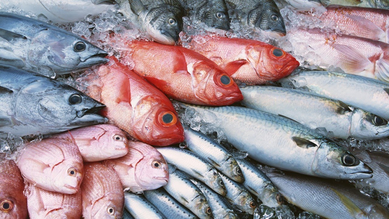 ¿Es el pez espada considerado un pescado blanco o azul?
