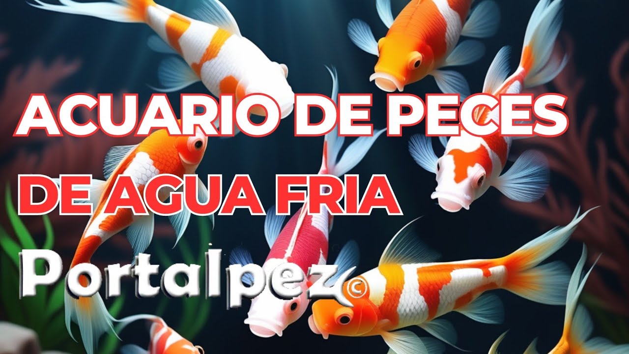 Cuidado de peces de agua fría