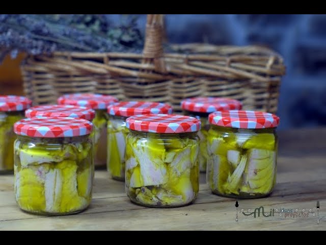 Ideas de recetas con bonito del norte en conserva