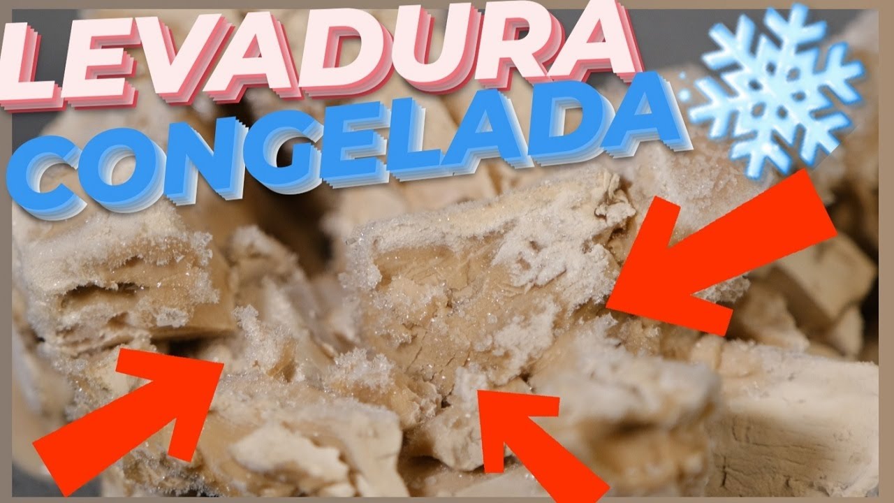 ¿Es posible congelar la levadura fresca?