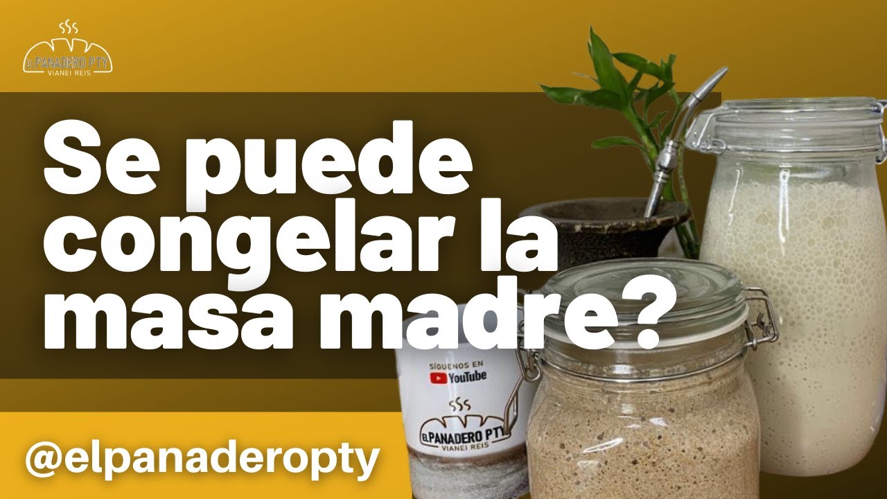 ¿Es posible congelar la masa madre?