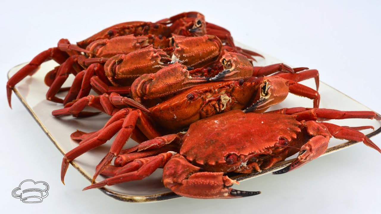 Cómo cocer nécoras vivas