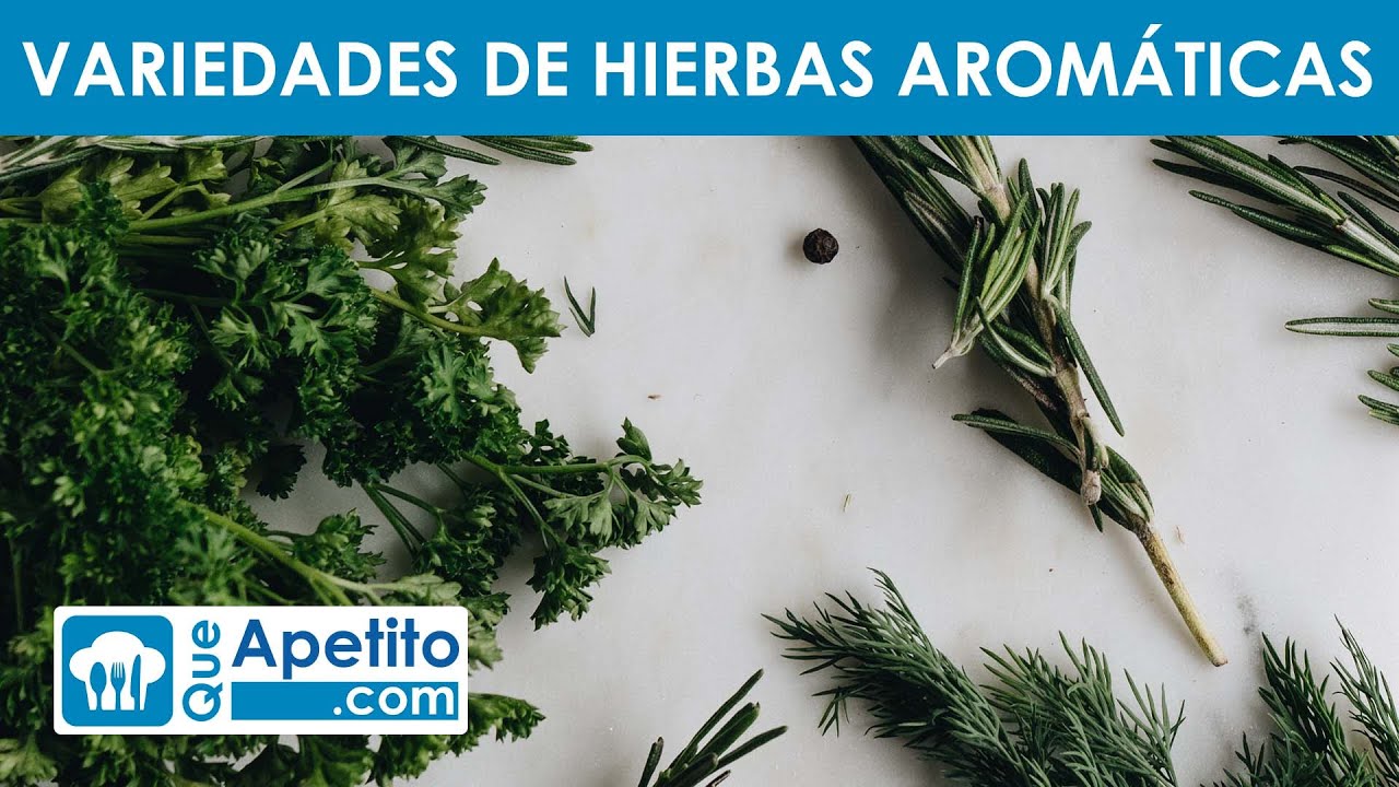 Hierbas aromáticas comestibles: tomillo laurel y más