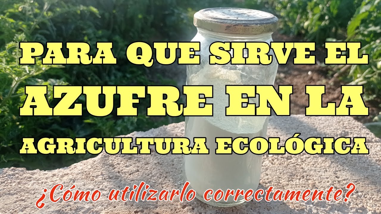 ¿Cuál es la función del azufre en el cultivo de tomateras?
