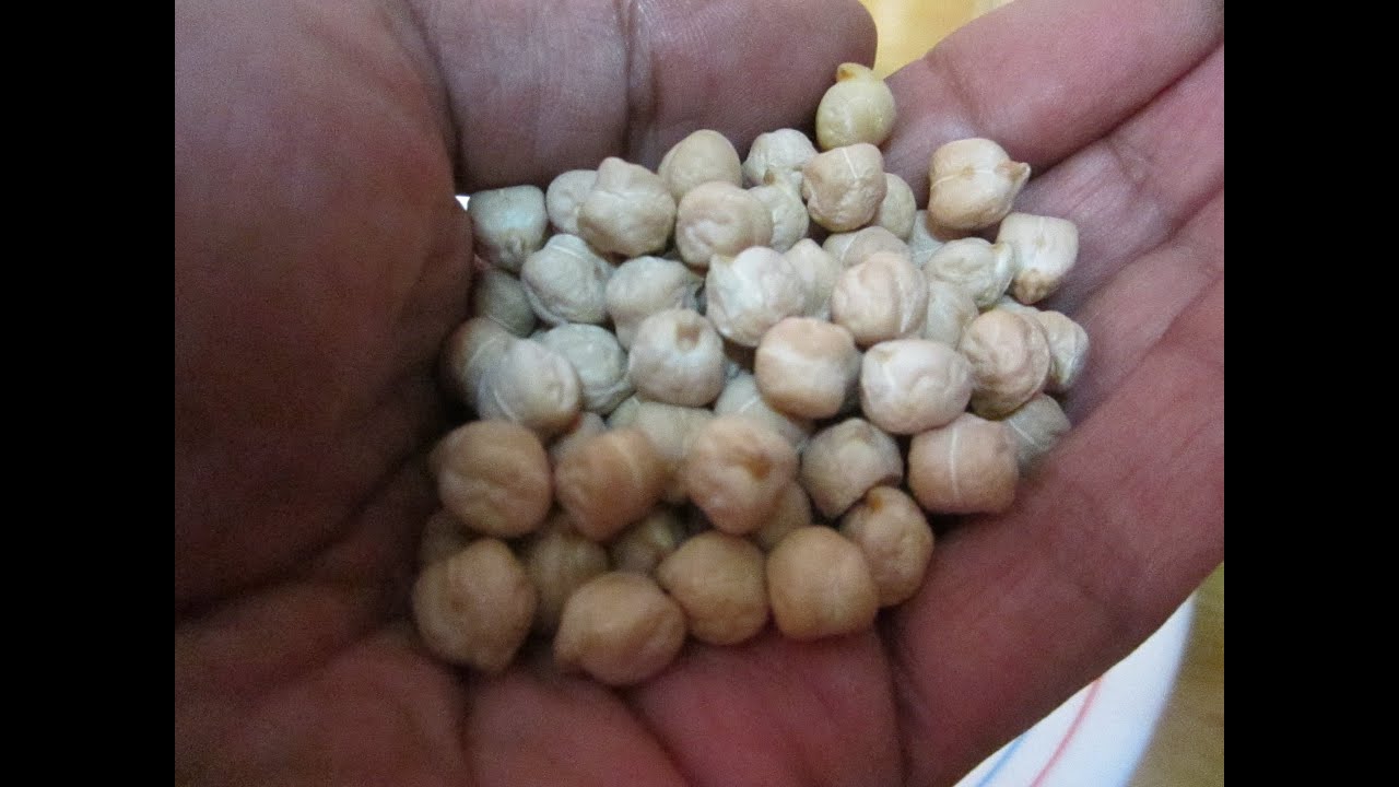 ¿Cuántos gramos de garbanzos cocidos equivalen a 100 gramos?