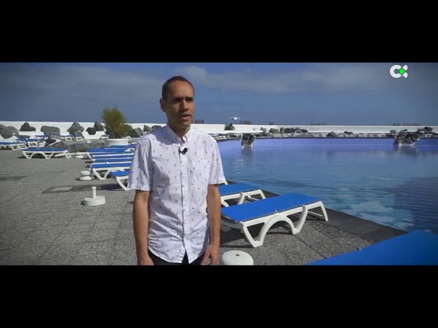 ¿Se permite llevar comida al Lago Martiánez?